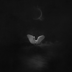 01_Heron 
