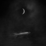03_Carassius 