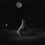 08_Lepus martius 