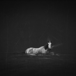 18_Equus Pocus 