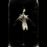 20b - Mantis religiosa 