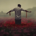 Hématomes sur coquelicots 