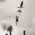 la chute 
